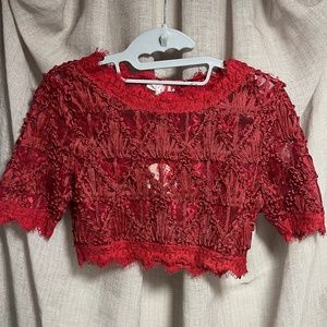 Luxxel - Cropped Short Sleeve Lace Top